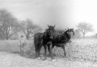 Farm pre-1912